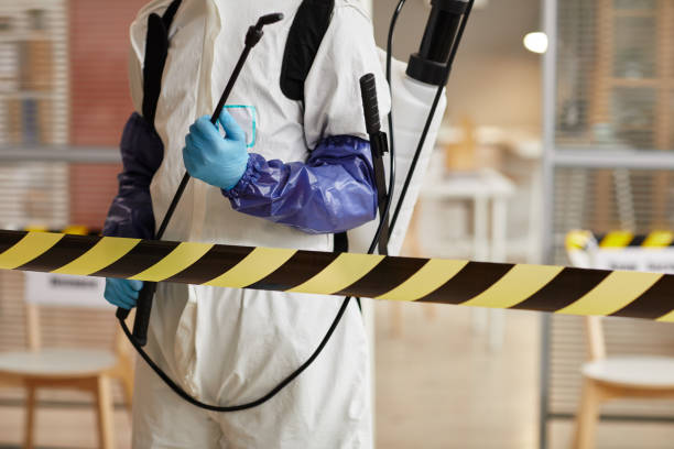 Professional Biohazard technician working in Ward, CO
